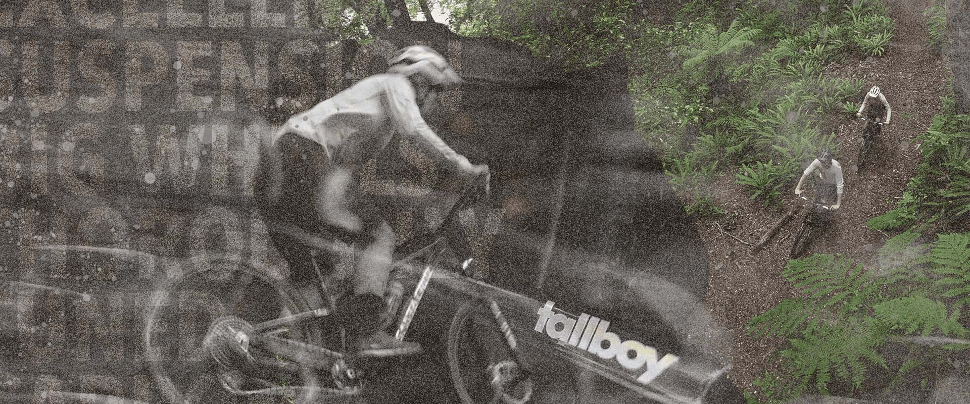 Santa Cruz Tallboy 2026 - Landis Cyclery | Bike Shop in Phoenix