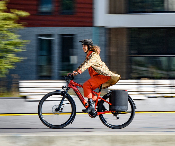 electric bike