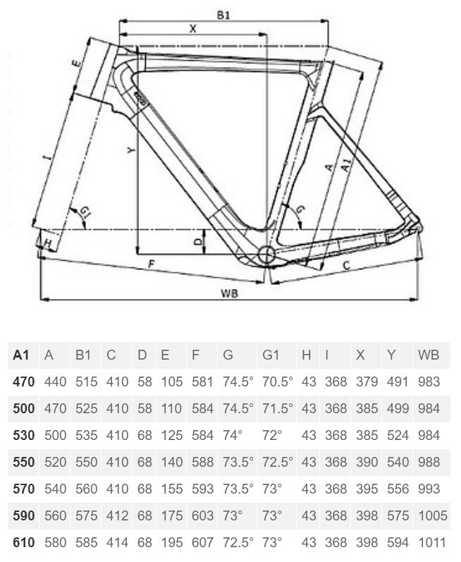 Bianchi Aria E-road geometry chart