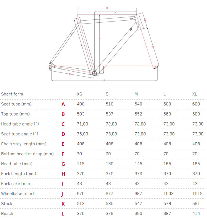 Focus Cayo Size Chart