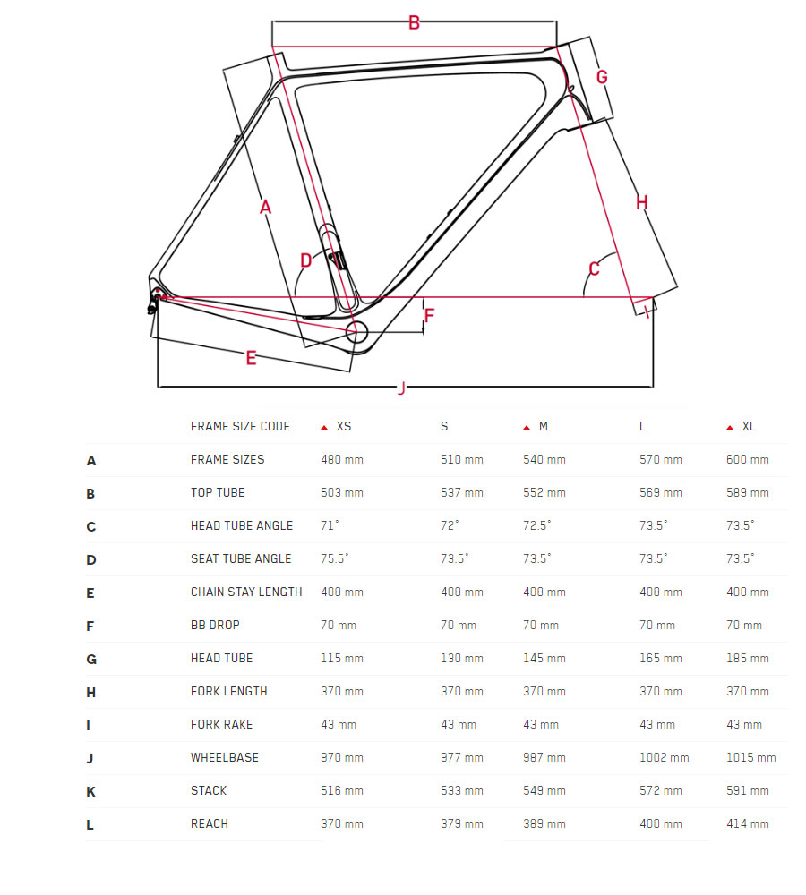 Focus Cayo Size Chart