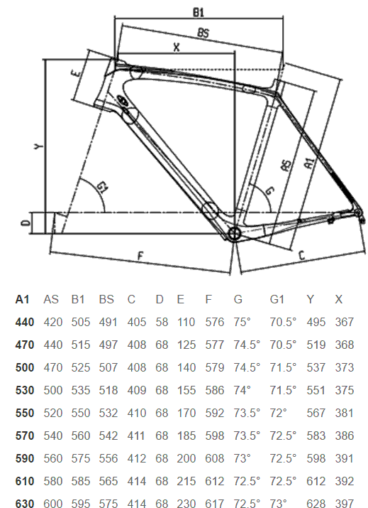 Bianchi Intenso Ultegra Mix Hydraulic Disc DT Swiss Geometry Chart
