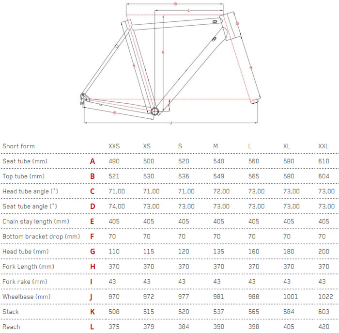 Focus Izalco Max Size Chart