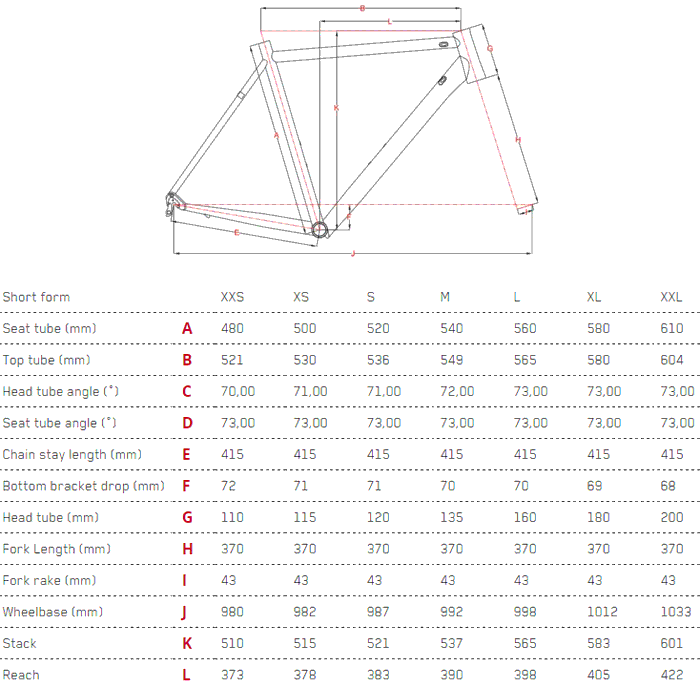 Focus Izalco Max Size Chart