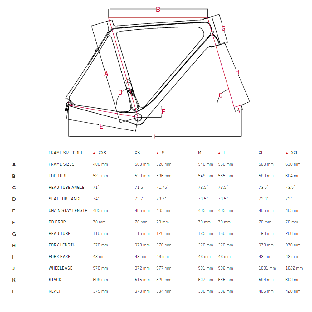 Focus Izalco Max Size Chart