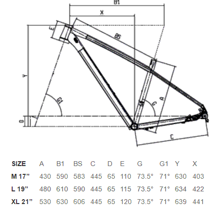 Bianchi Jab 29.1 Geometry Chart