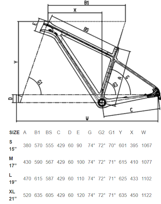 Bianchi Menthanol 9.1 CV Geometry Chart