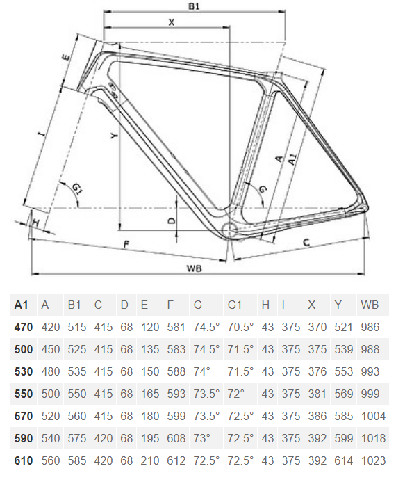 Bianchi Infinito CV Disc geometry chart