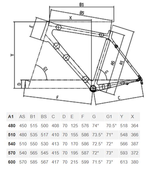Bianchi Intrepida geometry chart