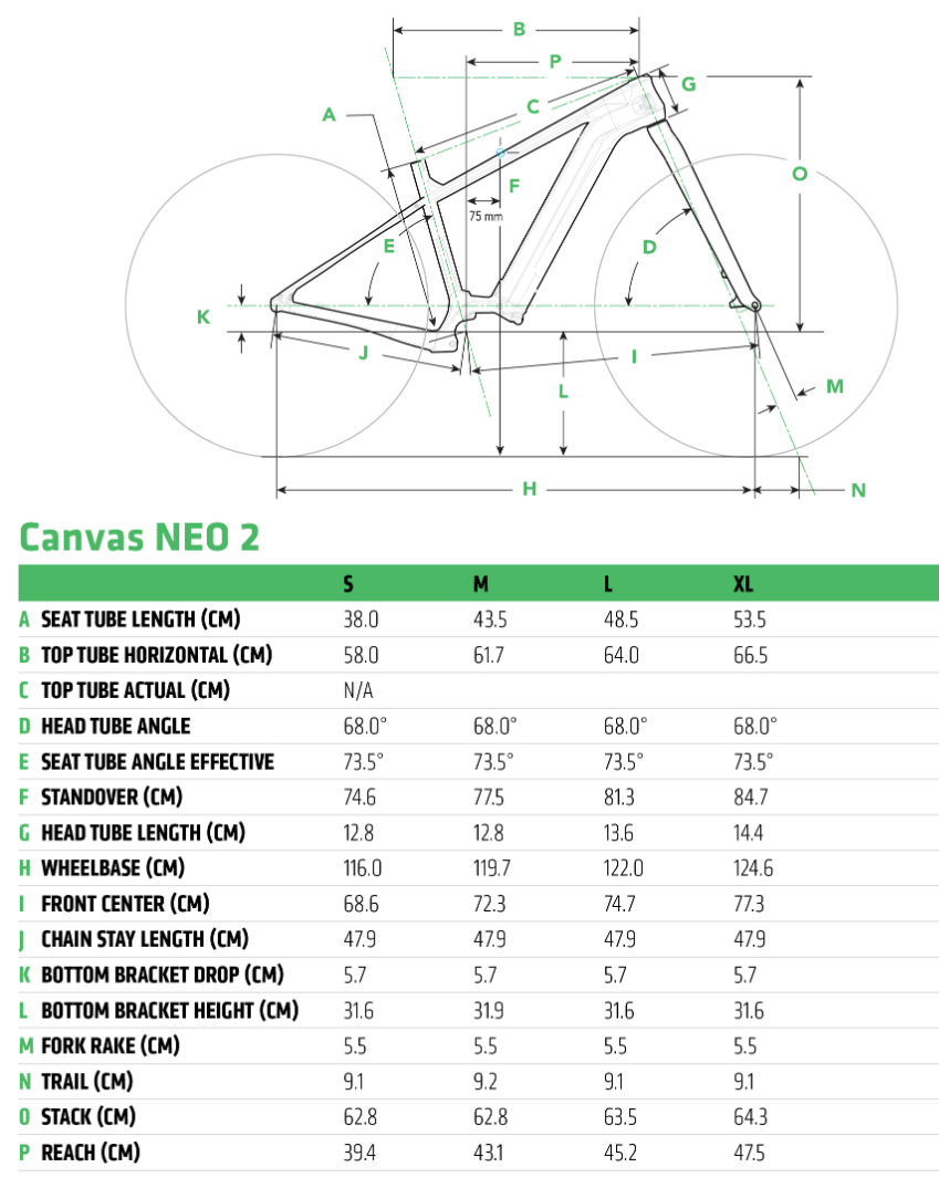Cannondale Canvas Neo 2 geometry