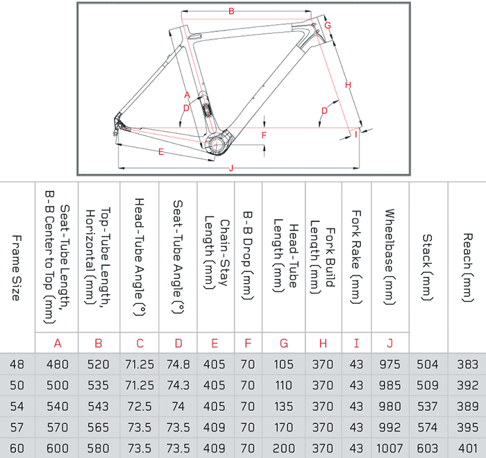 Focus Cayo Size Chart