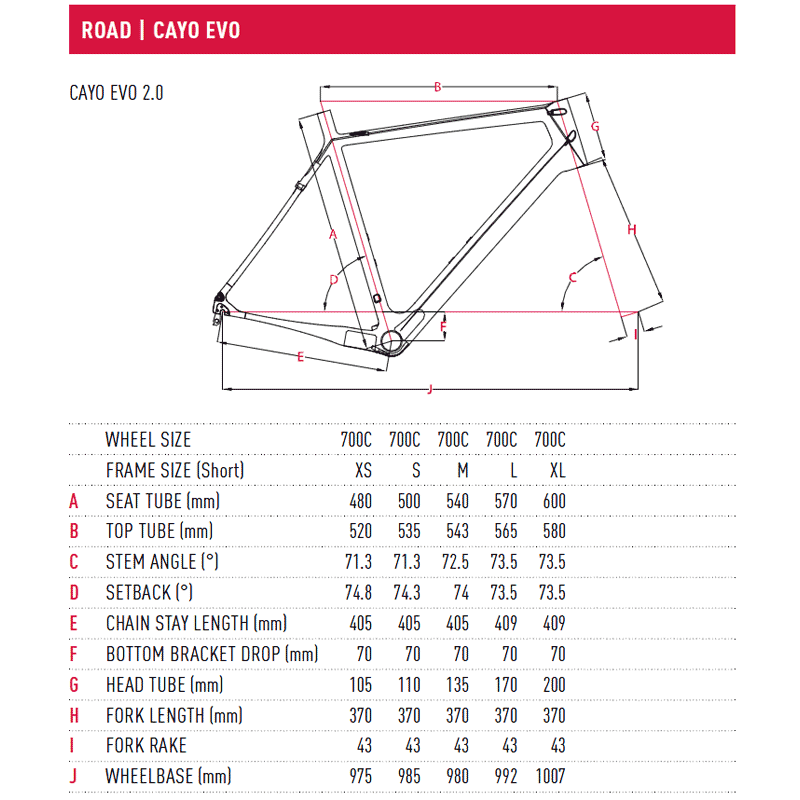 Focus Cayo Size Chart