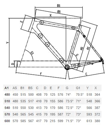 Bianchi Bike Size Chart