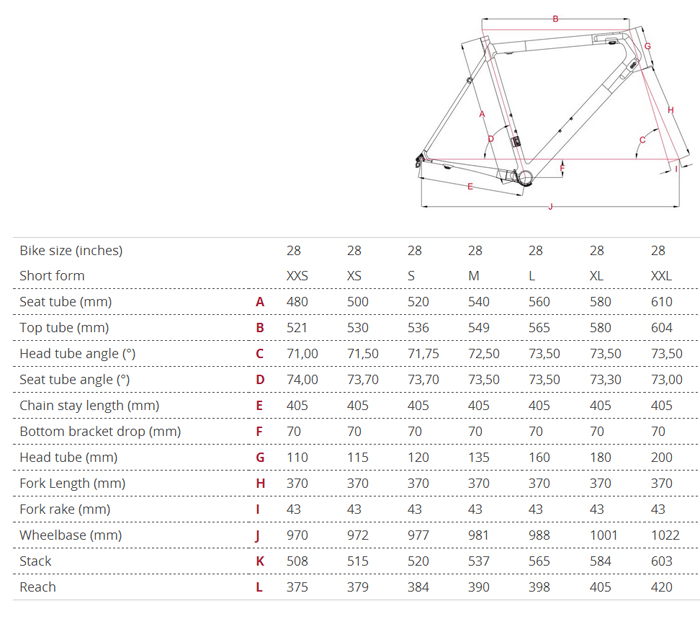 Focus Izalco Max Size Chart