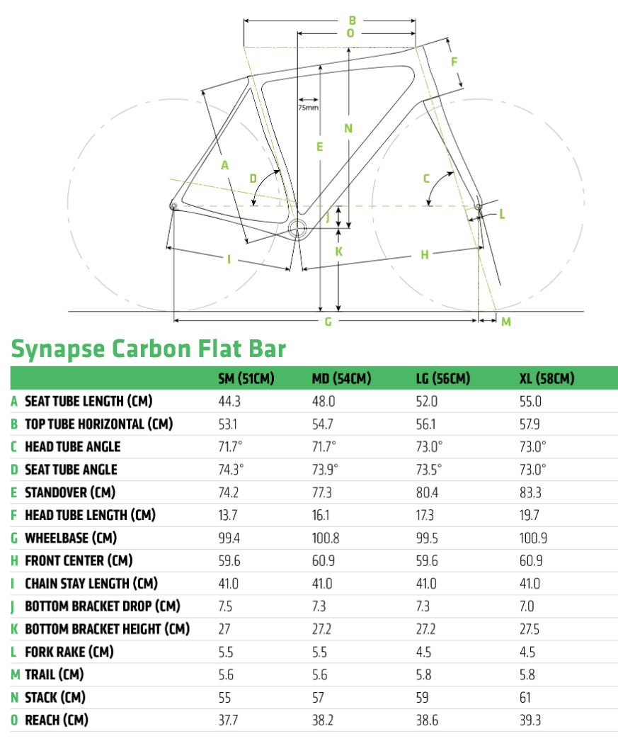 Cannondale Synapse Carbon Flatbar geometry