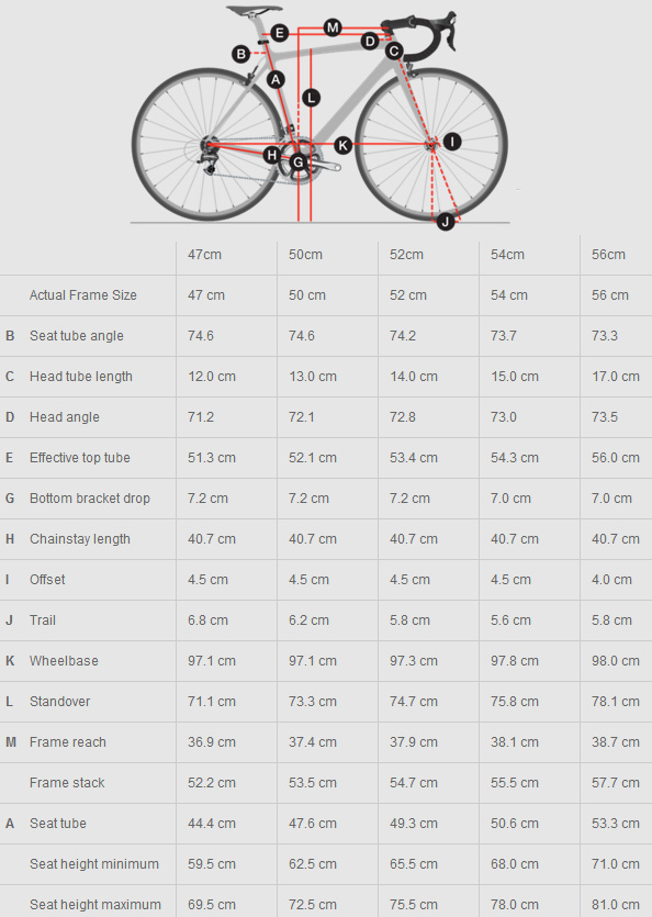 Trek Madone Wsd Sizing Chart