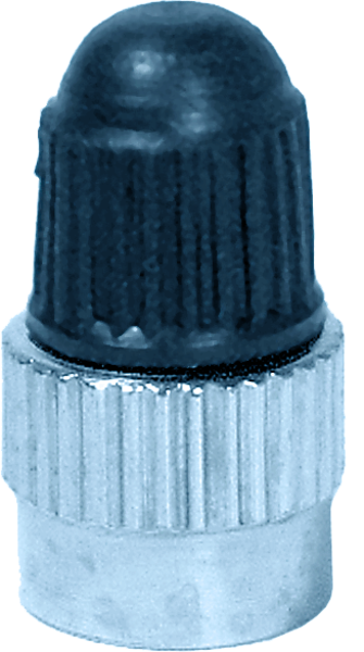 49°N Standard Valve Cap