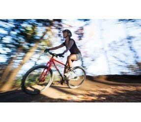 City Log Log Lady Bike All-City Log Lady Used In LG Buycycle - Main Image