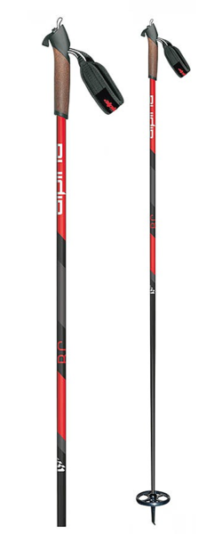 Alpina Discovery Pole