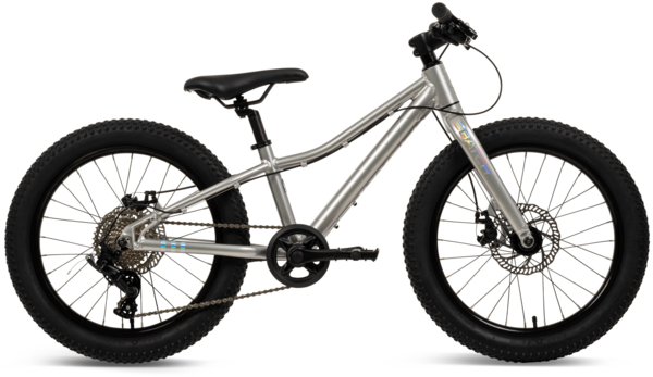 Batch Bicycles 20-Inch Kids Mountain Bike Batch Bicycles 20-Inch Kids Mountain Bike