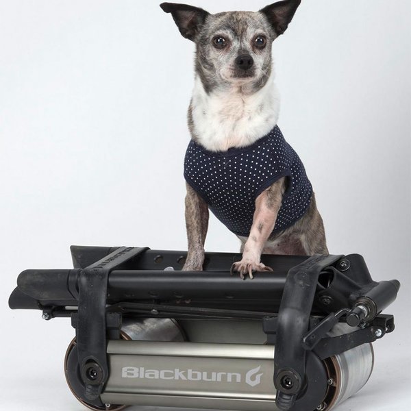 Blackburn レースデイ ポータブル トレーナー Blackburn Raceday Portable Trainer - K&G Bike Center Kettering