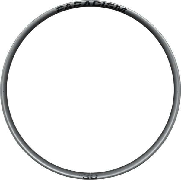 Bontrager Paradigm Pro 30 Rim