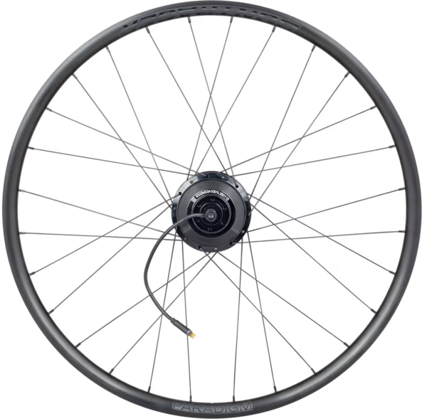 Bontrager Paradigm TLR 700c Disc 12-Speed Hyena Road Rear Wheel