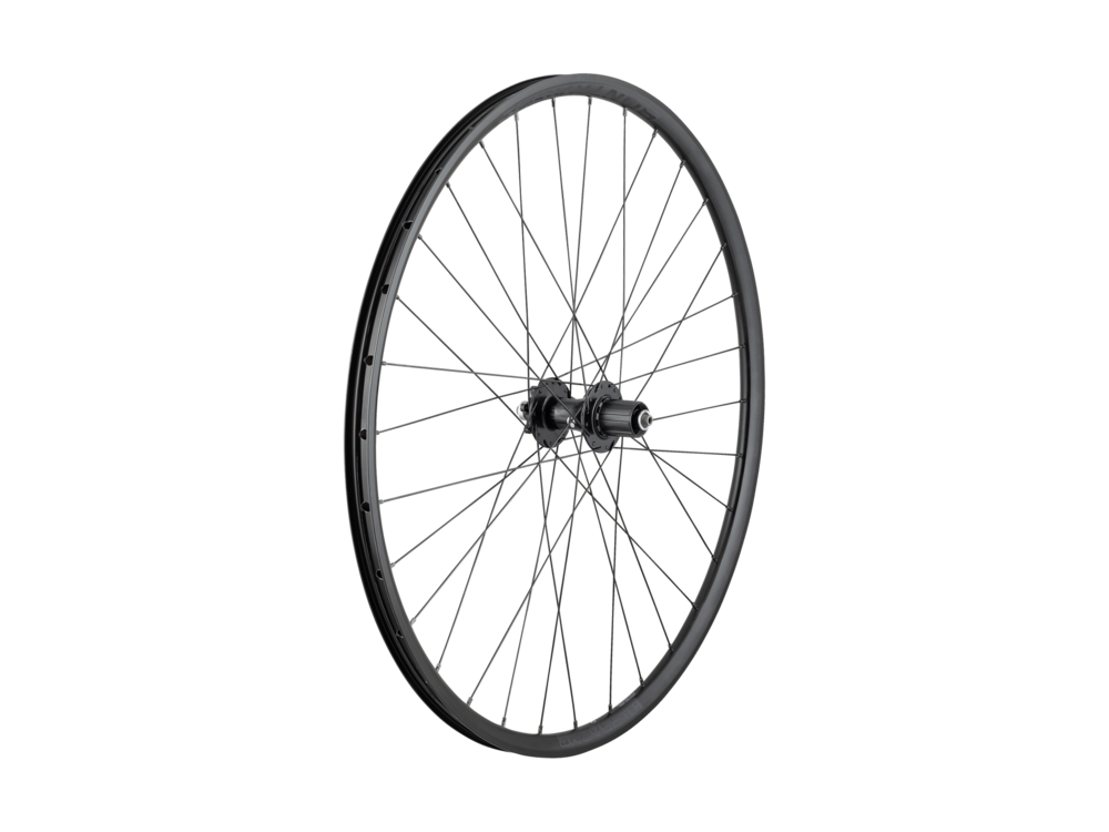 Bontrager Kovee TLR Boost141 29" 6-Bolt Disc MTB Rear Wheel, Black