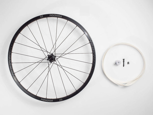 Bontrager Paradigm Elite 25 TLR Disc 
