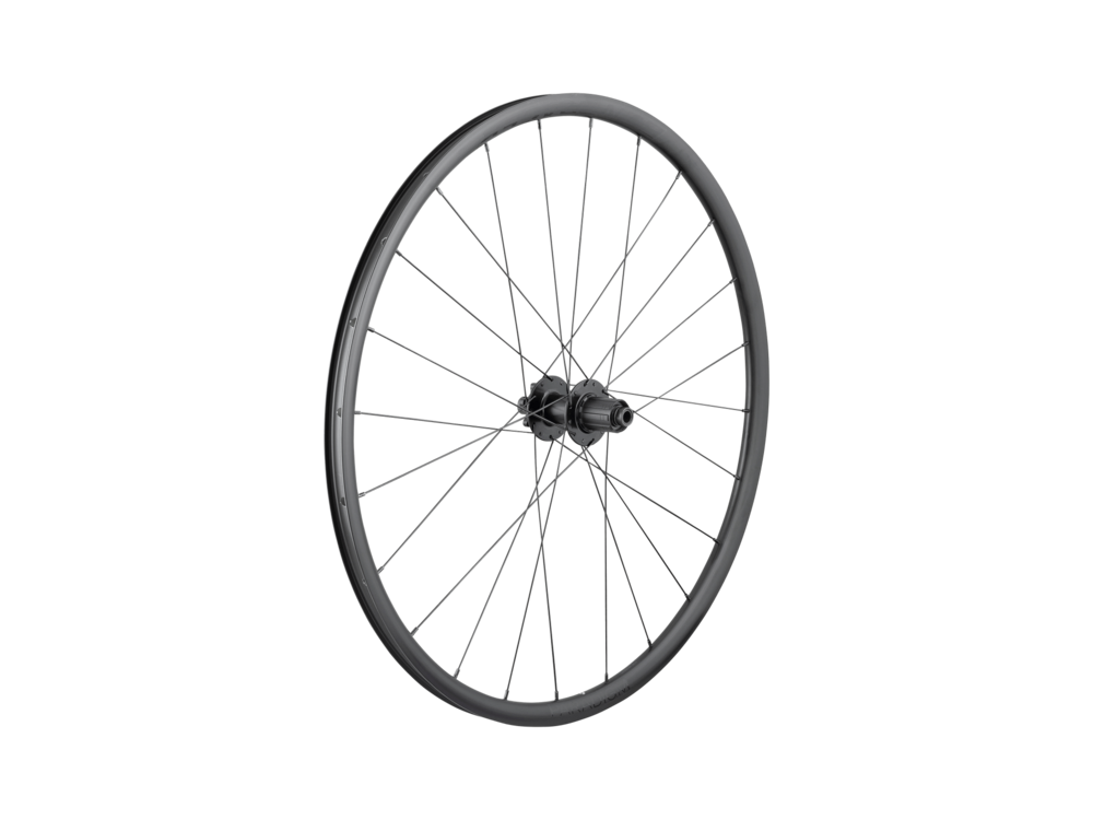 Bontrager Paradigm SL 6-Bolt Disc 24H 700c Road Rear Wheel