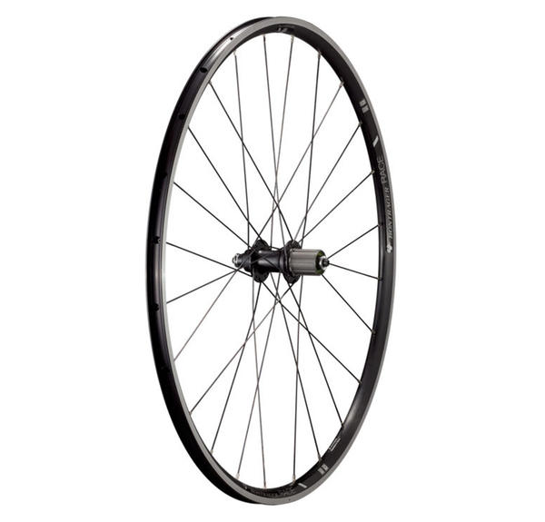 Bontrager Tlr Online, 54% OFF | empow 