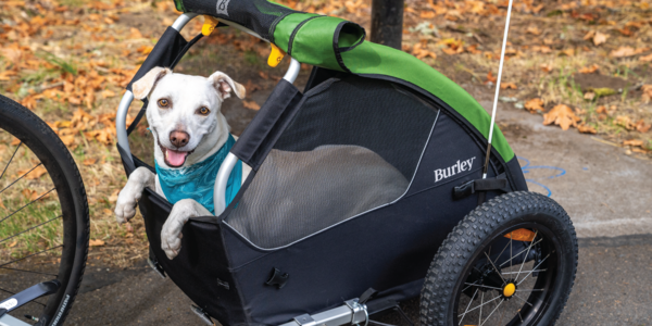 Burley Tail Wagon - Wheel & Sprocket | One of America's Best Bike