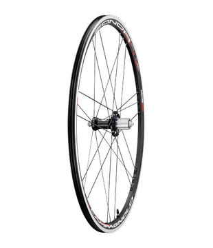 Campagnolo Zonda Wheelset - Towpath Bike, Rochester New York's