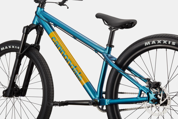 cannondale-dave-455568-13.png