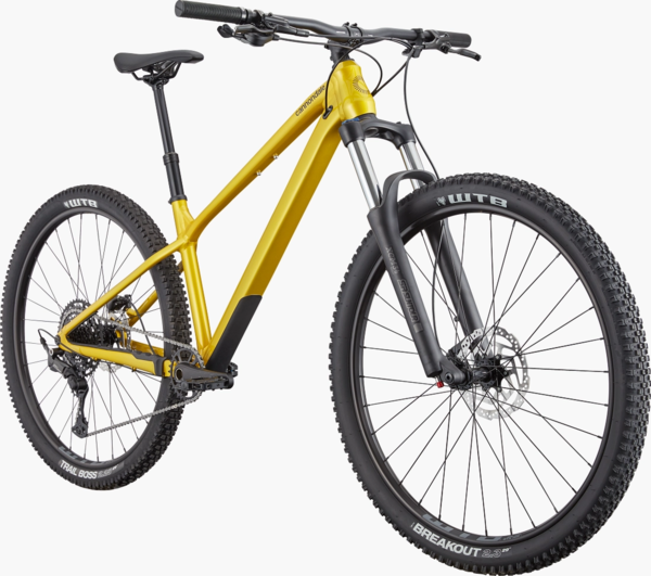 Cannondale Habit HT 2 - Tennessee Valley Bicycles, Knoxville, TN