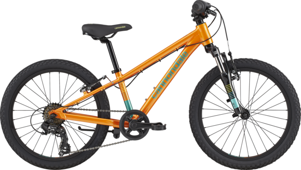 Cannondale Kids Trail 20-inch Color: Crush