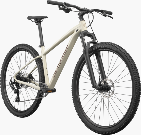 Cannondale Trail 3 - Grey Ghost Bicycles