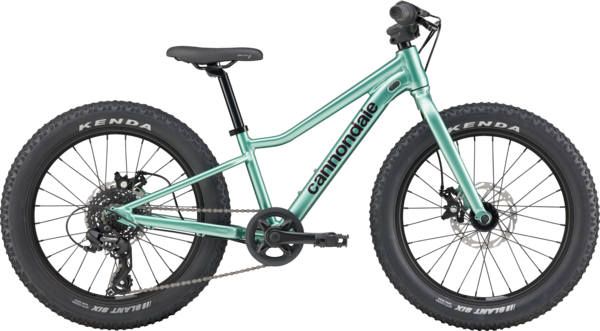 Cannondale Trail Plus 20 - Green Lizard Cycling | Bike Shop