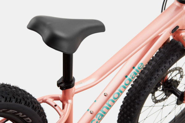 cannondale-trail-plus-20-