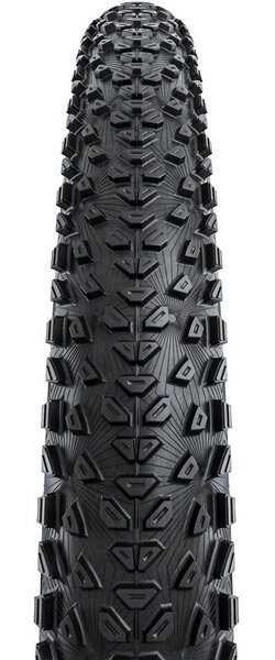 コンチネンタル(Continental) MTBタイヤ Xynotal Trail Endurance 29x2.40 FB コンチネンタル（タイヤサイズ（自転車）26 ～ 26.9