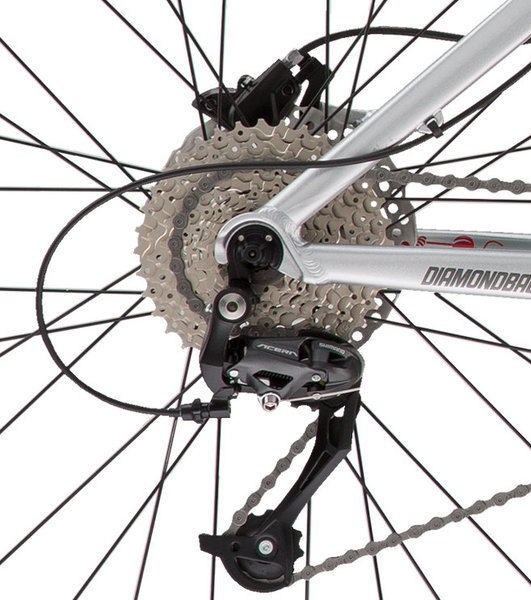 diamondback line 2019