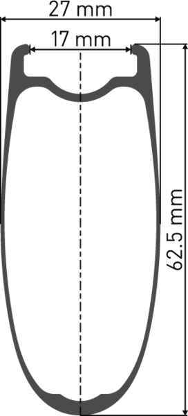 DT Swiss ARC 1100 Dicut 62 Disc Rear