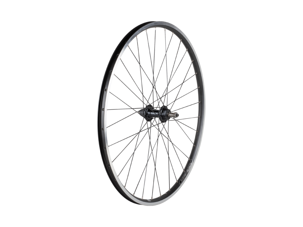 Electra 2021 Townie 7D 26" Rear Wheel