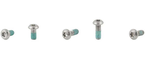 Electra Townie Go! 5i Fender Bolt Set