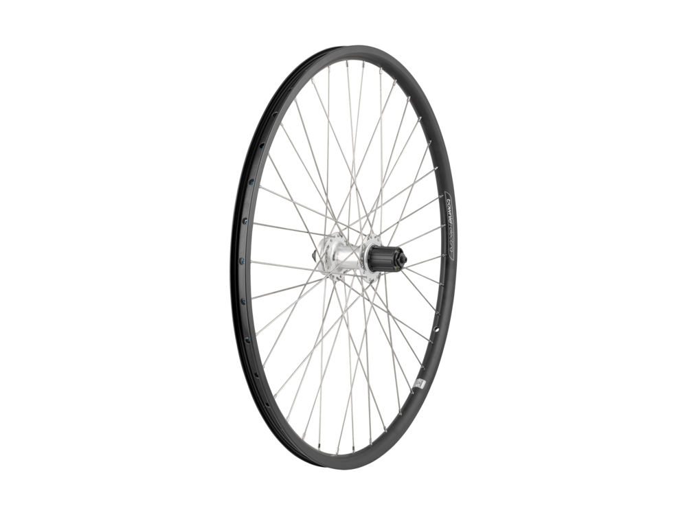 Electra Townie Go! 8D 26" Rear Wheel