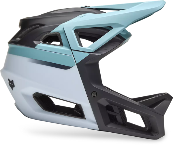 Fox Racing Proframe Rizer Helmet