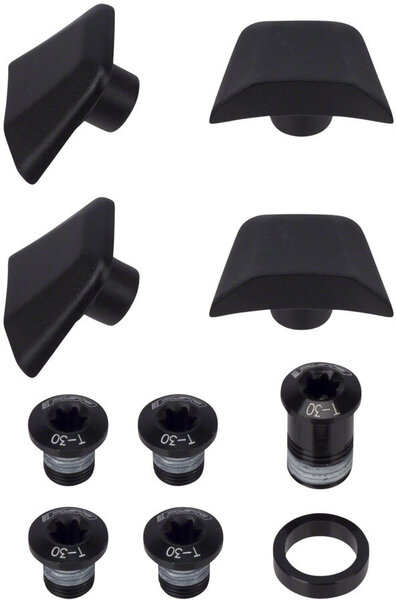 FSA Full Speed Ahead SL-K ABS Chainring Bolt Kit - Black, 10-Piece Kit