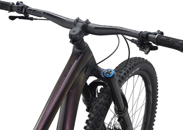 Giant Reign Advanced Pro 29 1 - Earl's 