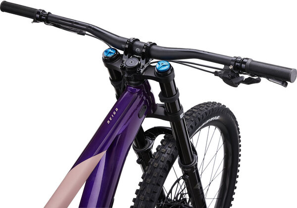 Giant Reign SX - The Bicycle Shop | Anchorage, AK