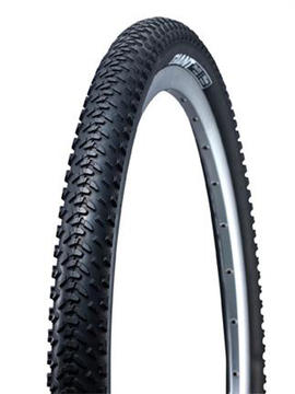 Giant Revel Tire (29-Inch)